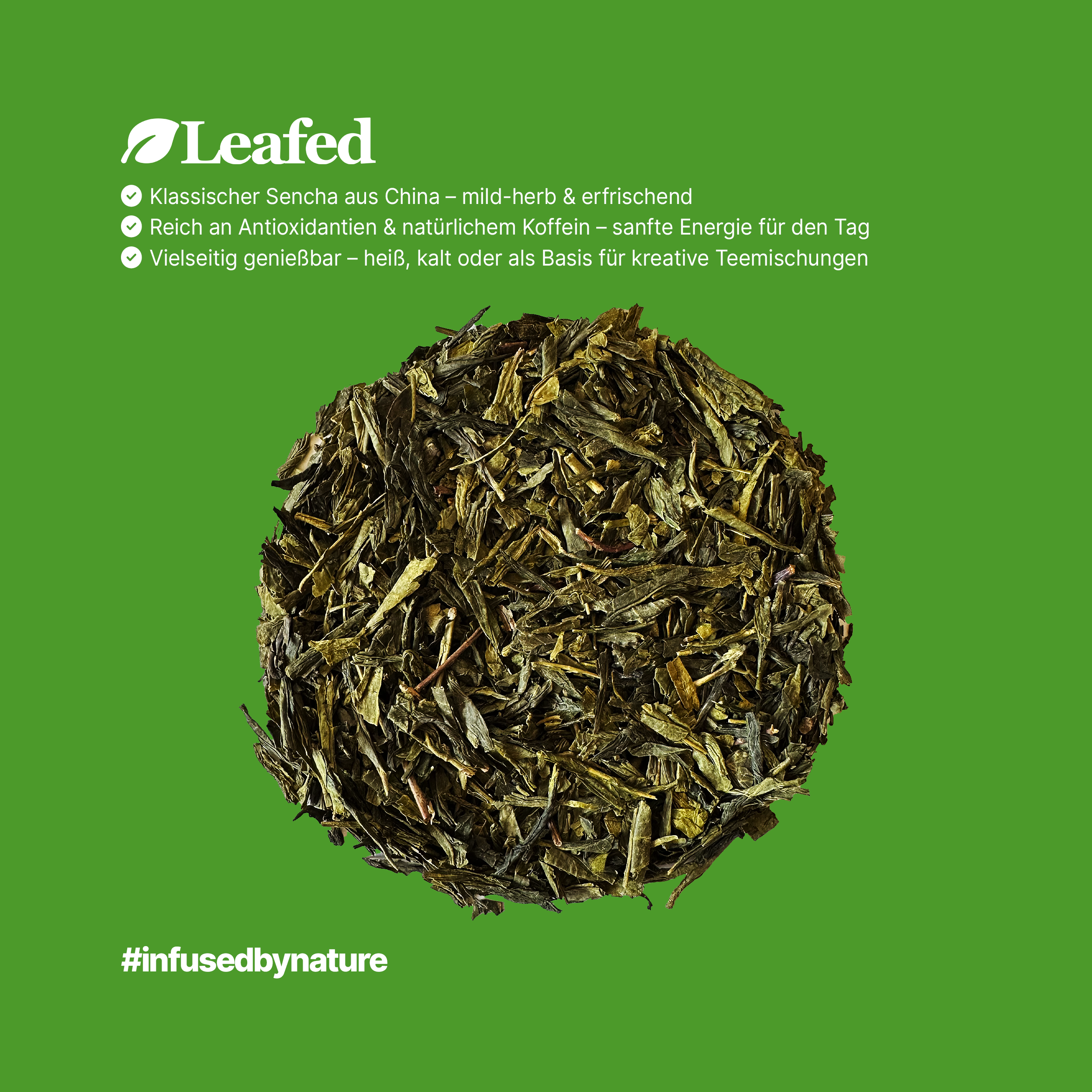 China Sencha Tee kaufen