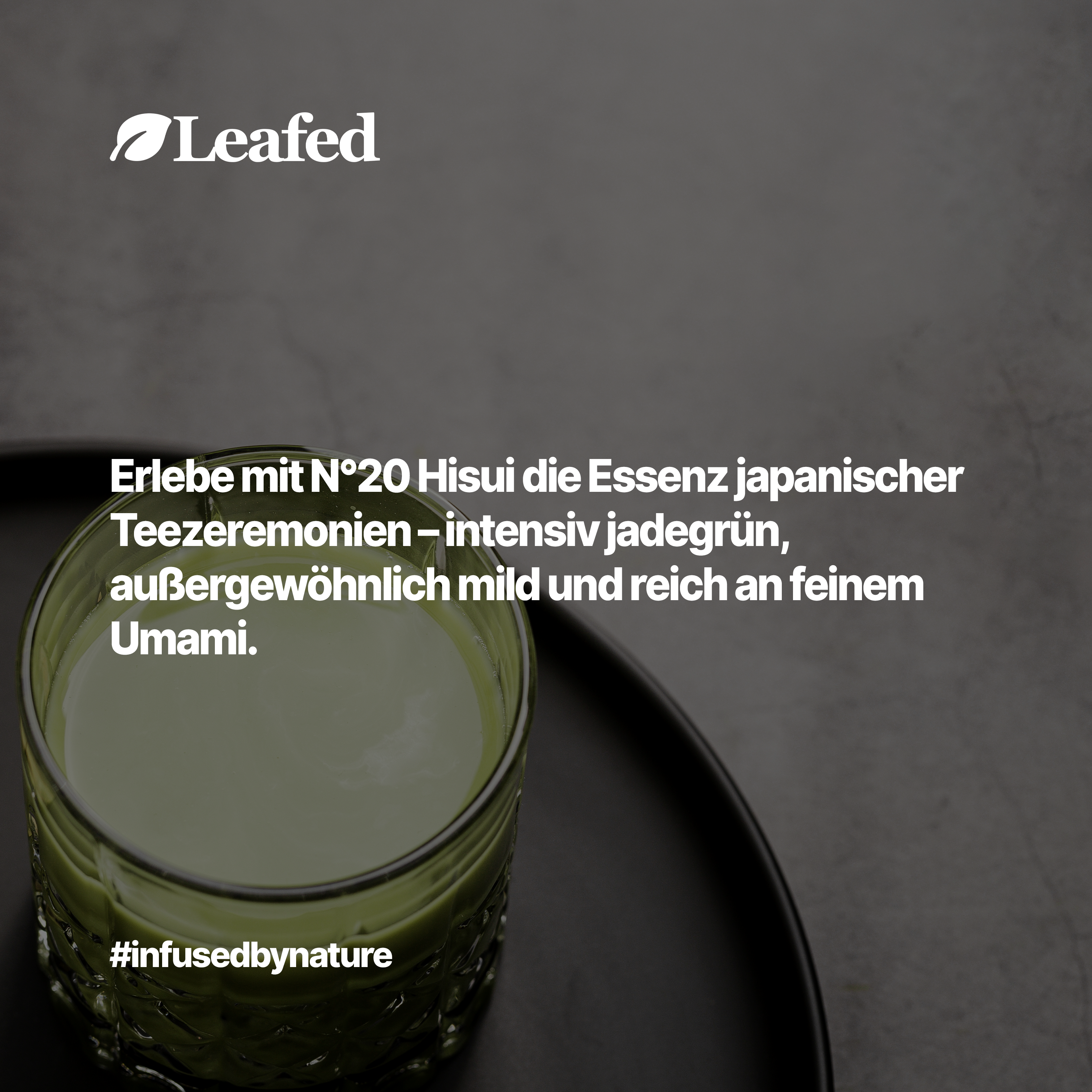 Ceremonial grade Matcha Hisui