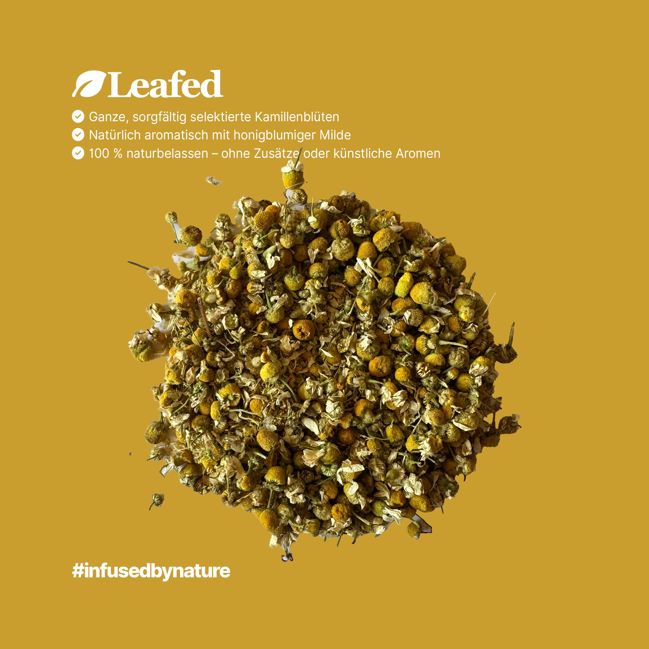 Kamillenblüten Tee Ganze Blüten kaufen