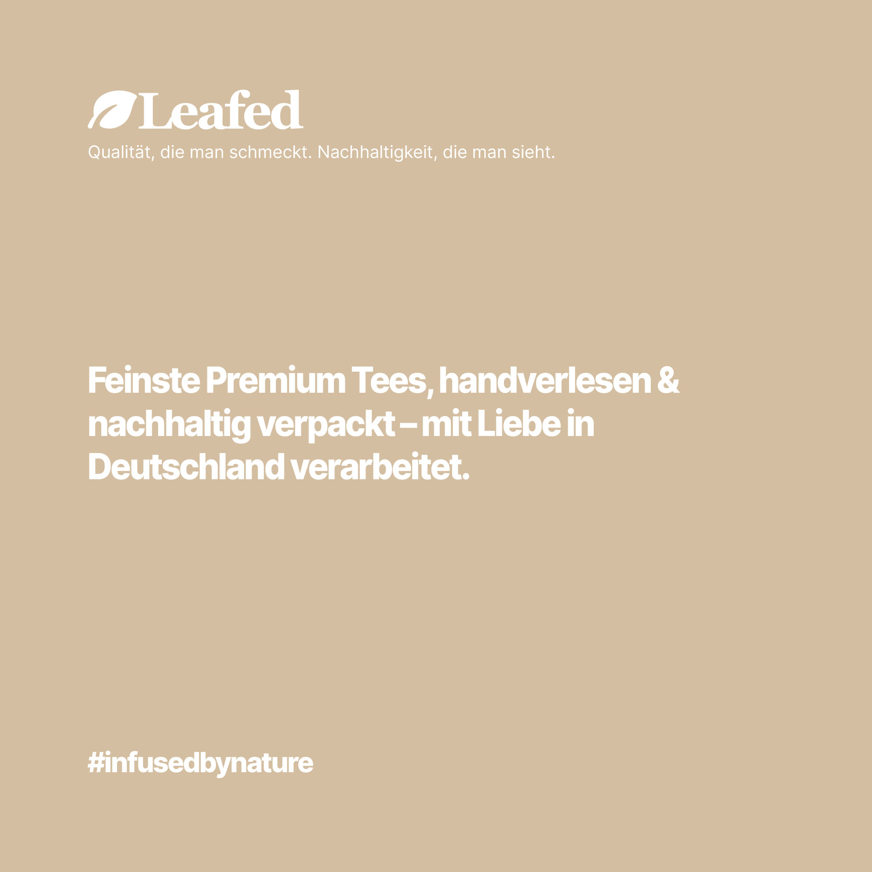 Weisser tee kaufen
