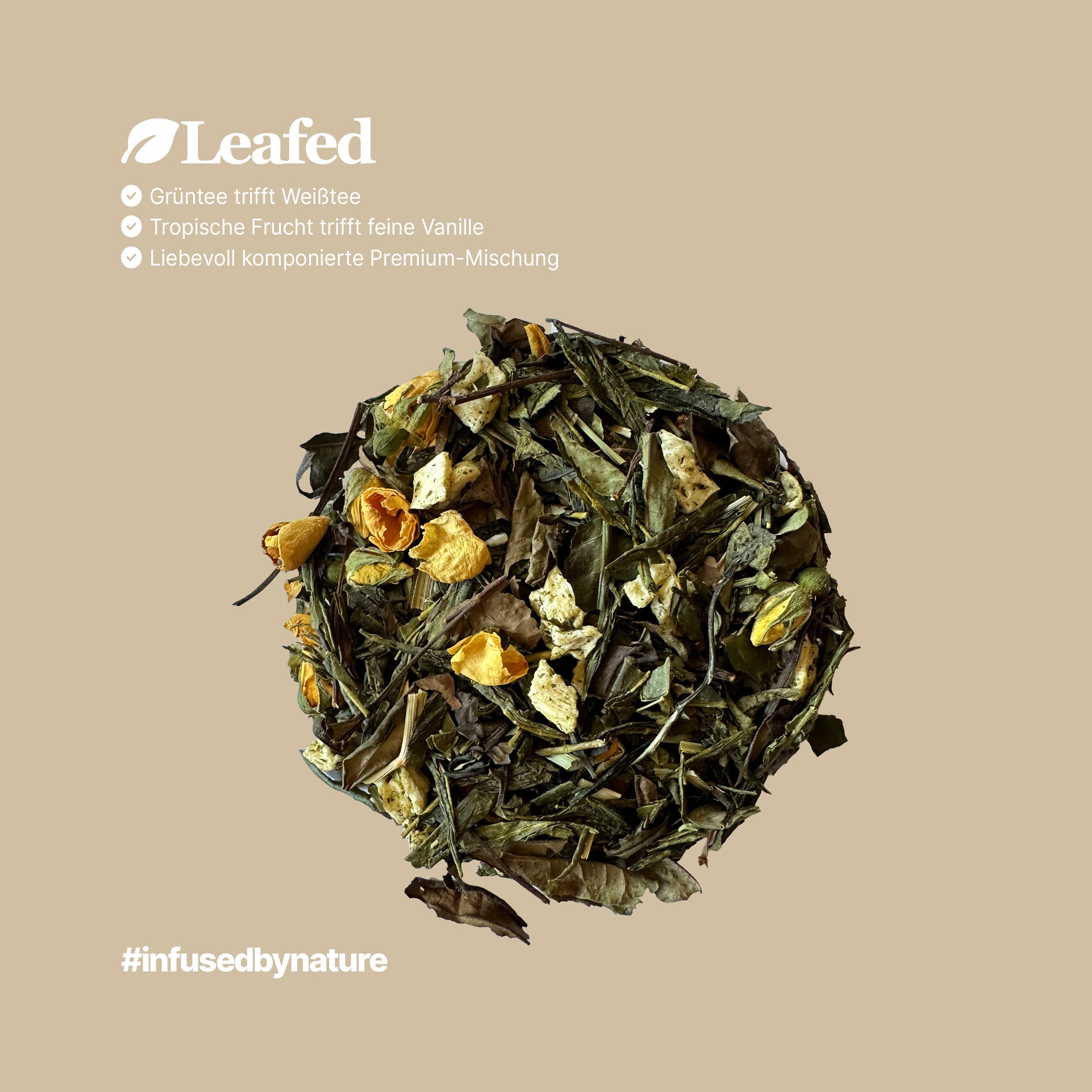 Weißer Engel - Weißtee mit Vanille kaufen
